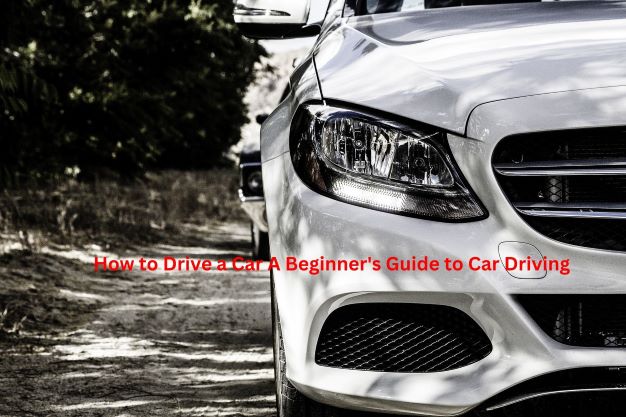 How to Drive a Car A Beginner's Guide to Car Driving